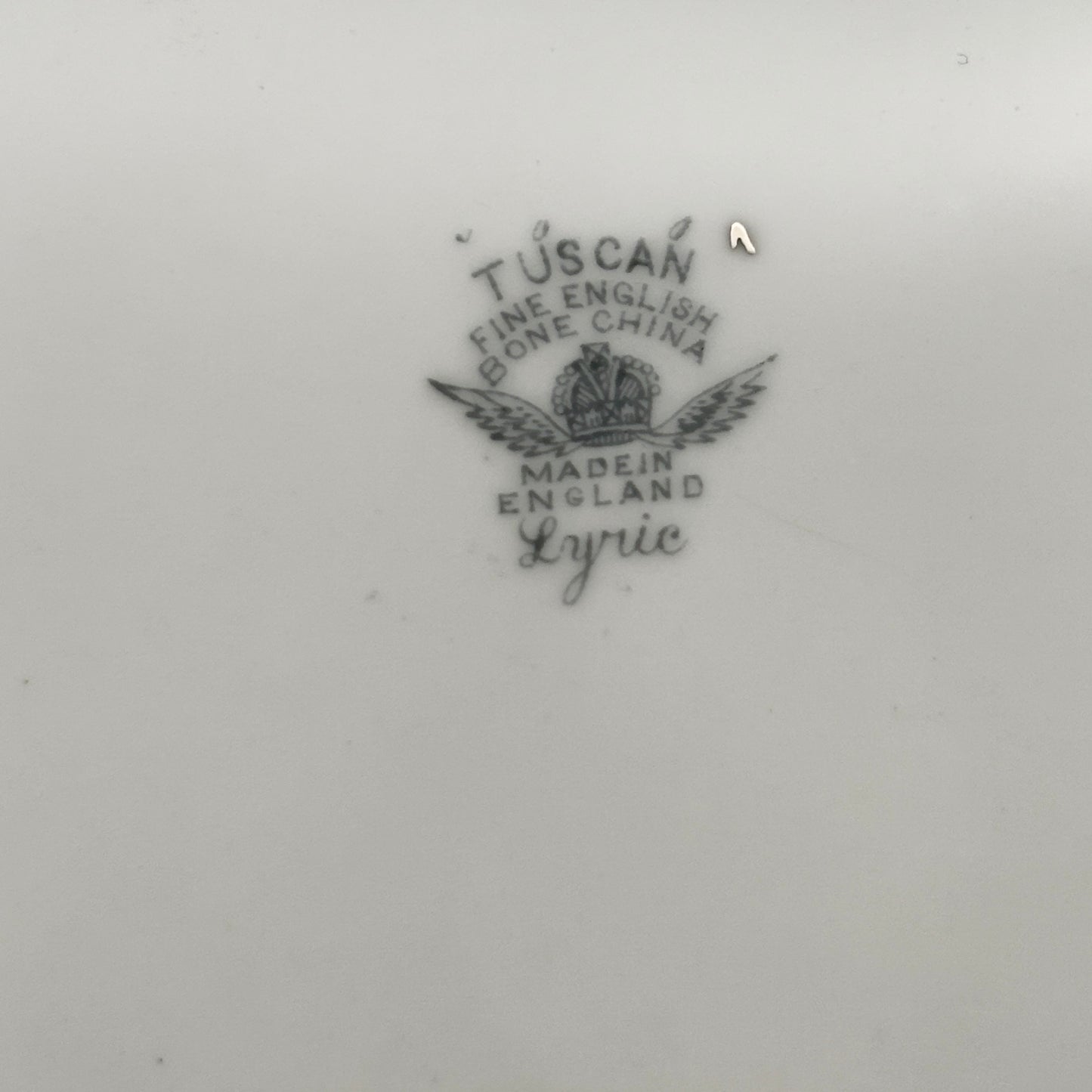 Tuscan Lyric 5-Piece Fine Bone China Dinnerware Set – A Collector’s Classic