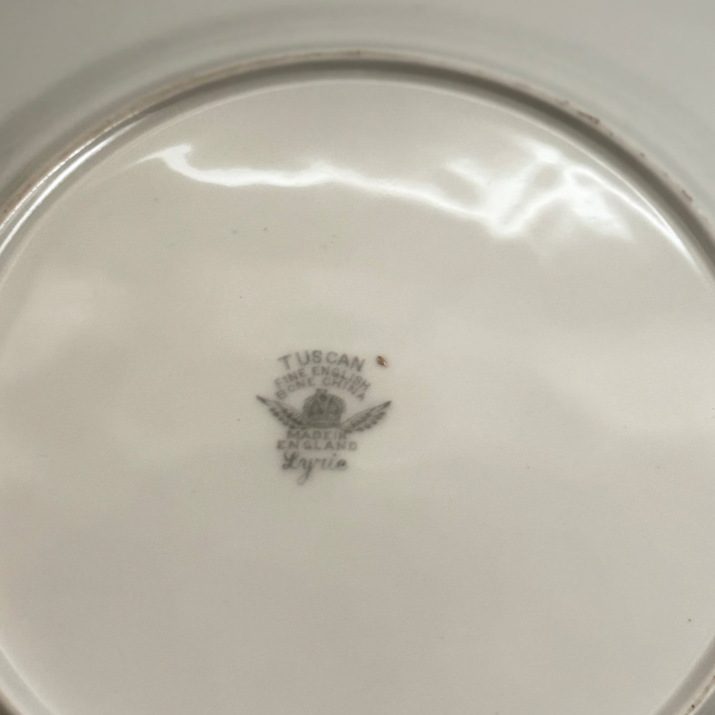 Tuscan Lyric 5-Piece Fine Bone China Dinnerware Set – A Collector’s Classic