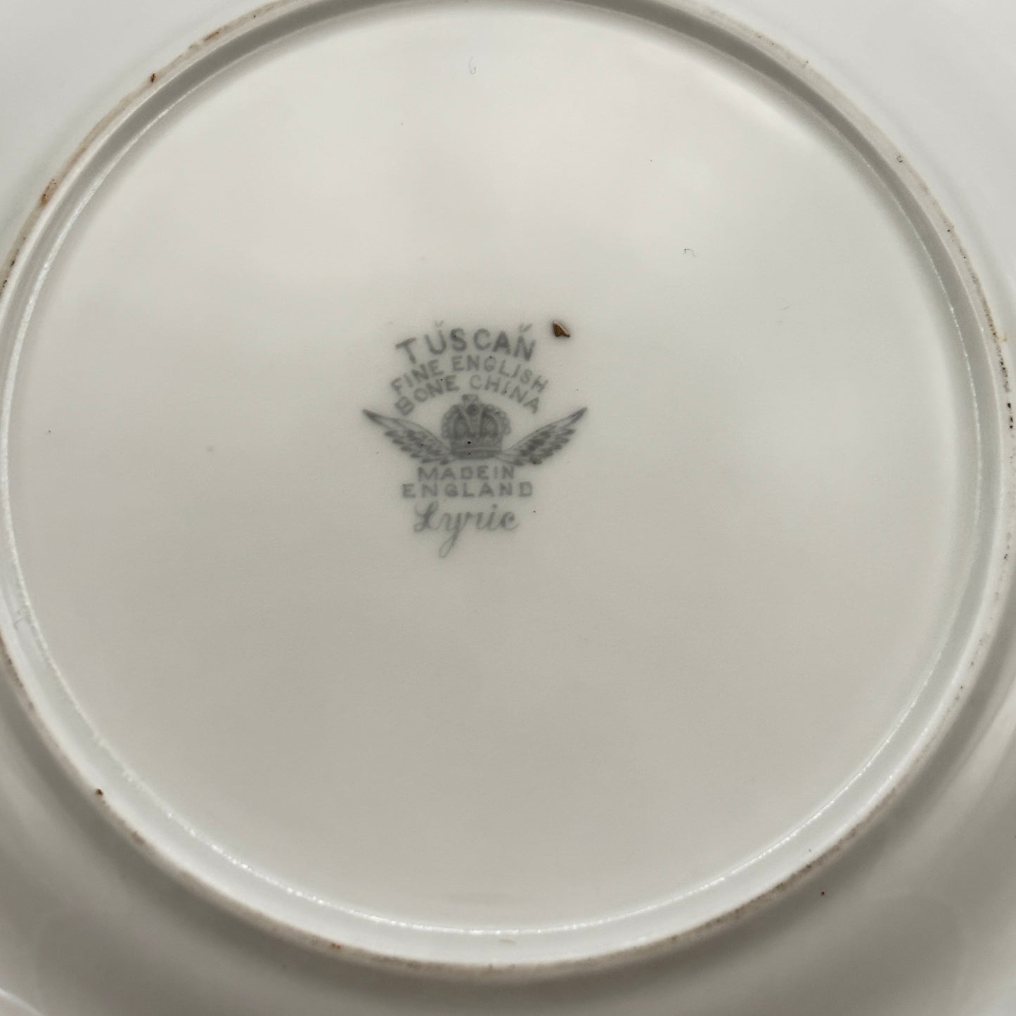 Tuscan Lyric 5-Piece Fine Bone China Dinnerware Set – A Collector’s Classic