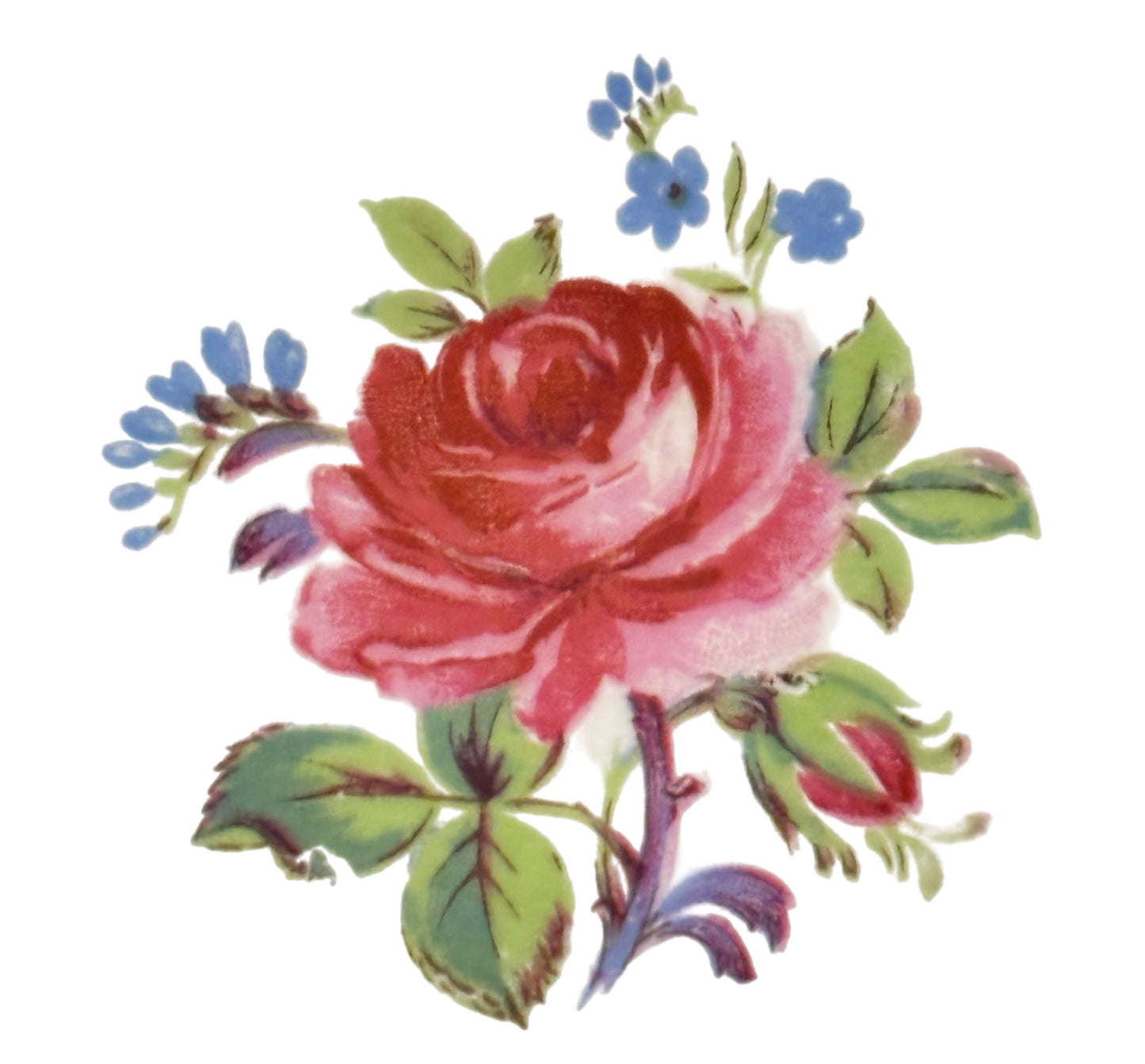 Vintage Cream Petal Pitcher by Grindley England – 1954+